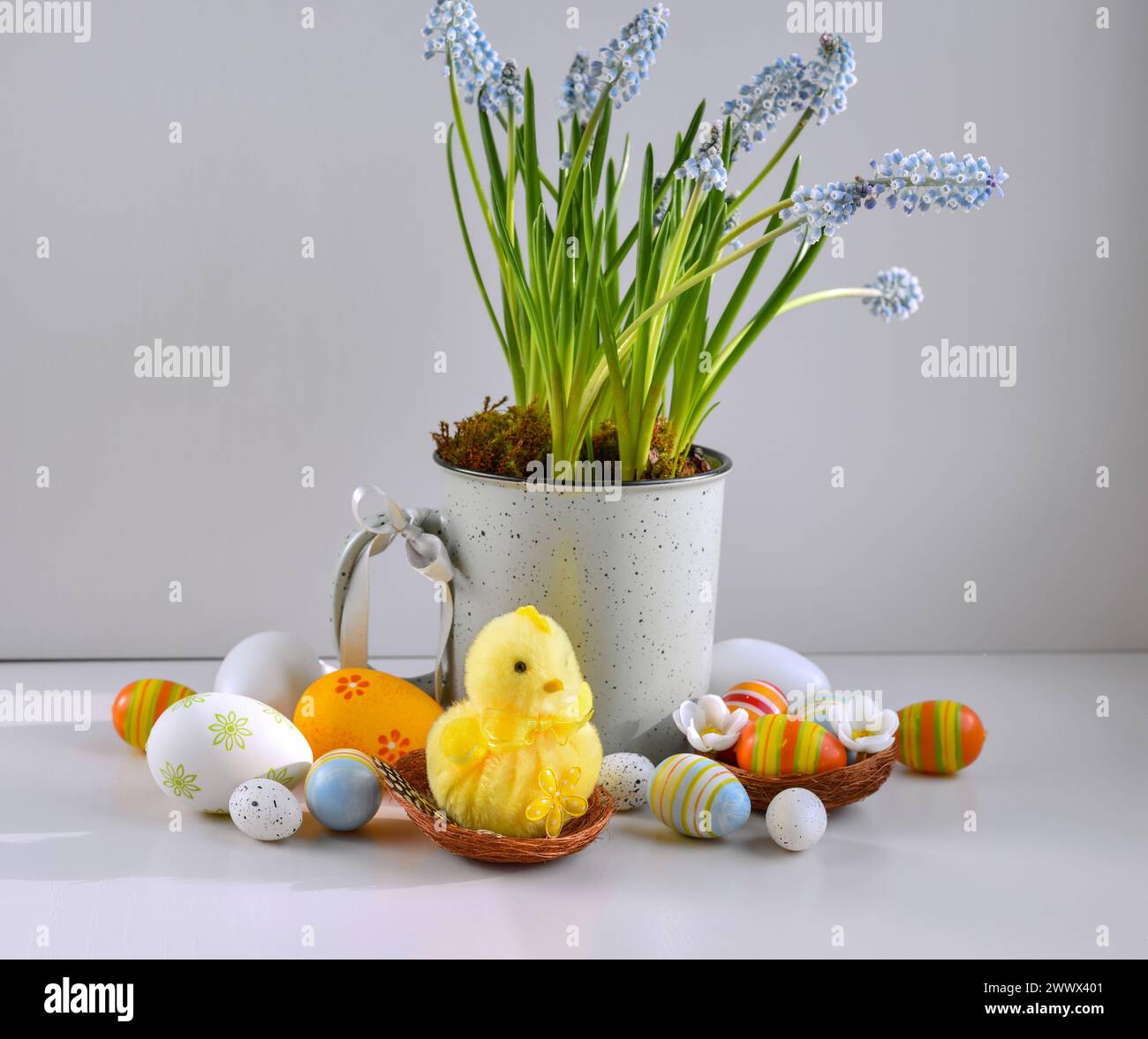 Yellow chick in the nest, colored easter eggs and spring light blue flowers. Happy Easter holiday concept. Easter still life Stock Photo