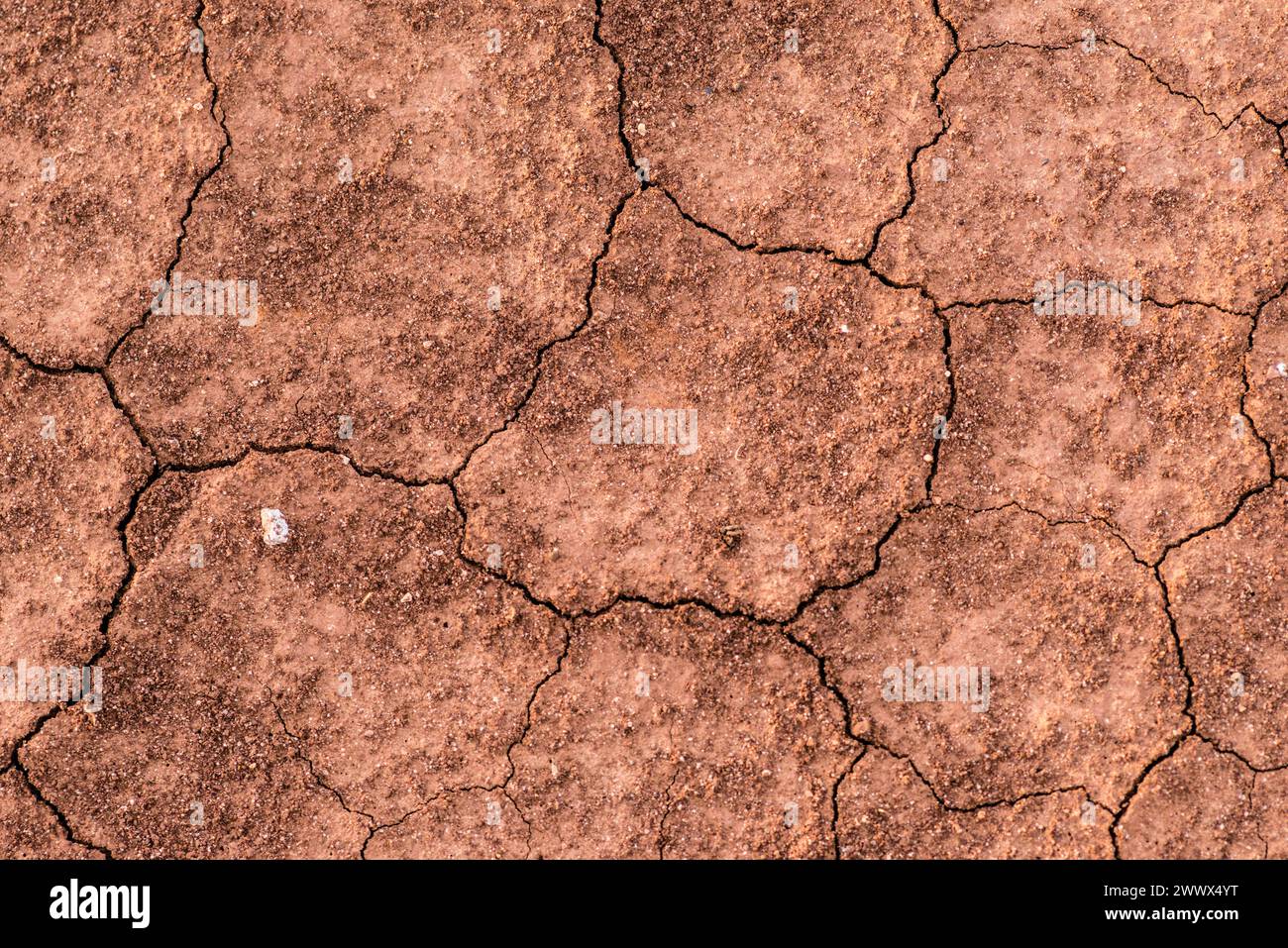 Earth Rote Rote Erde die ausgedörrt und trocken ist hat Risse. Sizilien Rote Erde ...