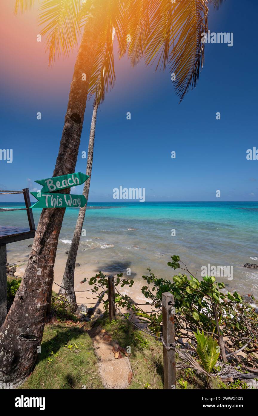 Beach this way sign on palm tree show direction to blue sea Stock Photo