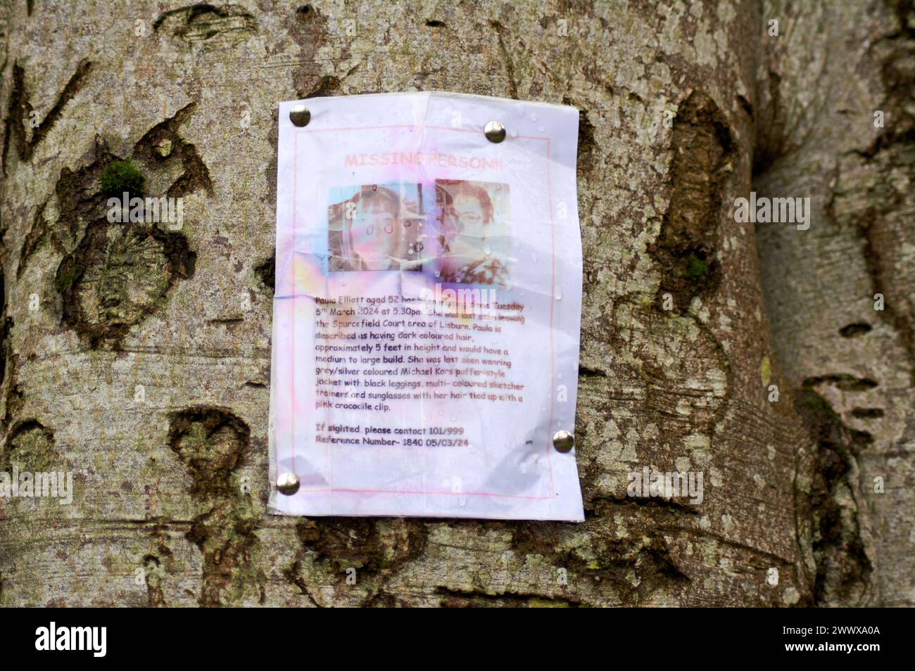 Belfast, United Kingdom 26 03 2024 Missing person Paula Elliott poster placed in Sir Thomas and Lady Dixon Park. Search and rescue continue to search along the Lagan towpath Belfast Northern Ireland Credit: HeadlineX/Alamy Live News Stock Photo