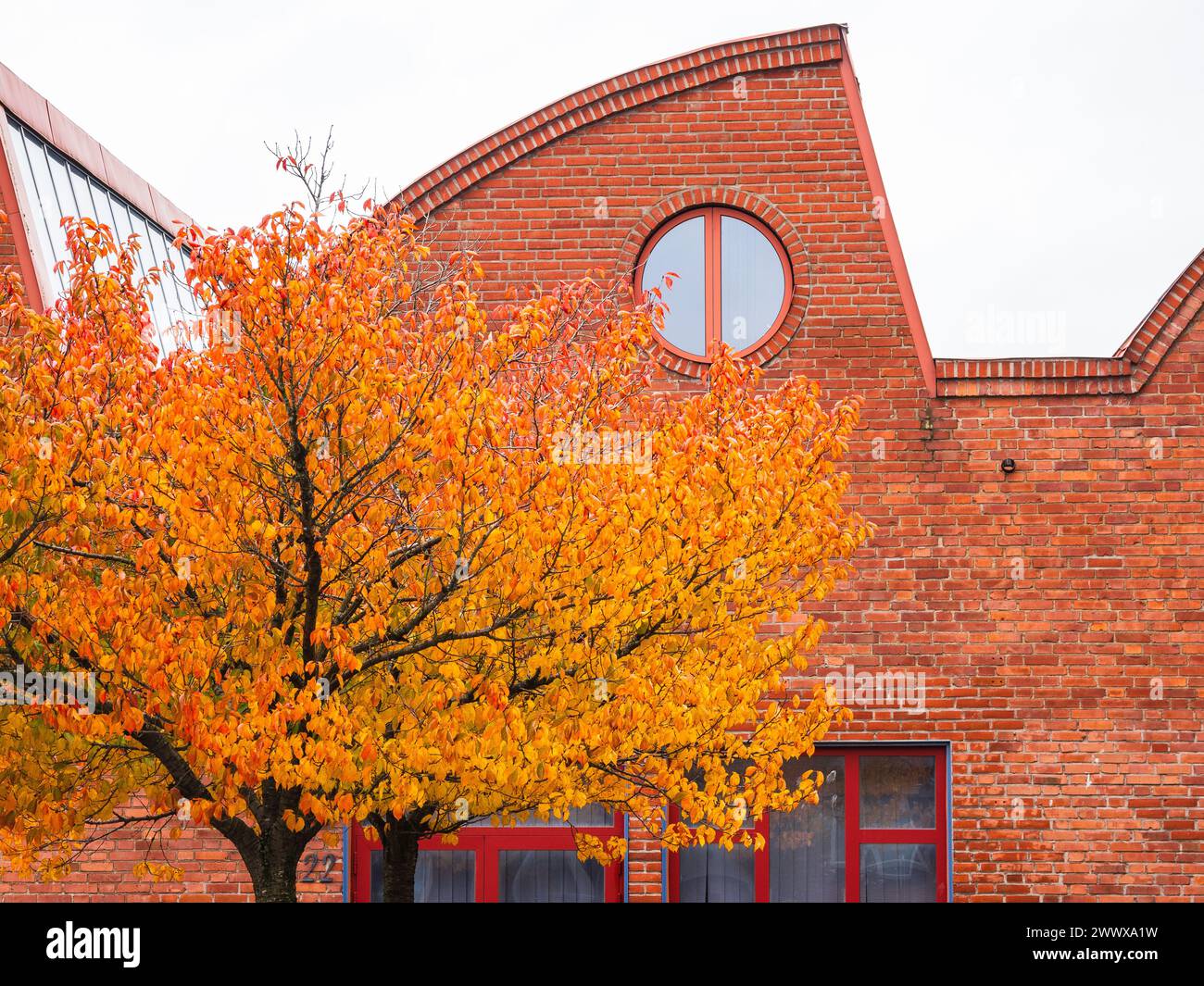 A red brick building with a tree in front of it, located in Gothenburg, Sweden. The tree is in full autumn color, standing tall against the backdrop o Stock Photo