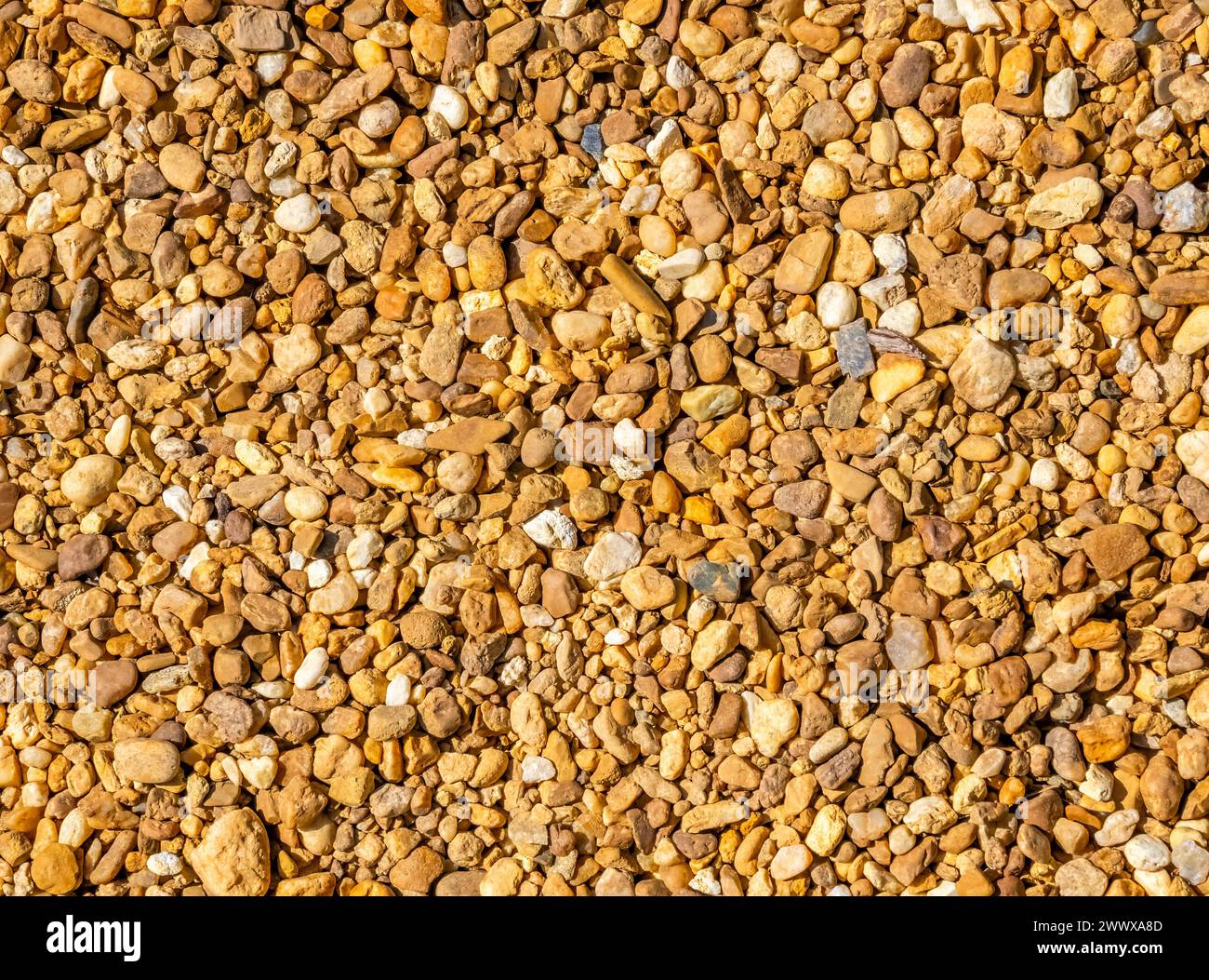 Closeup of small pebbles filling frame Stock Photo