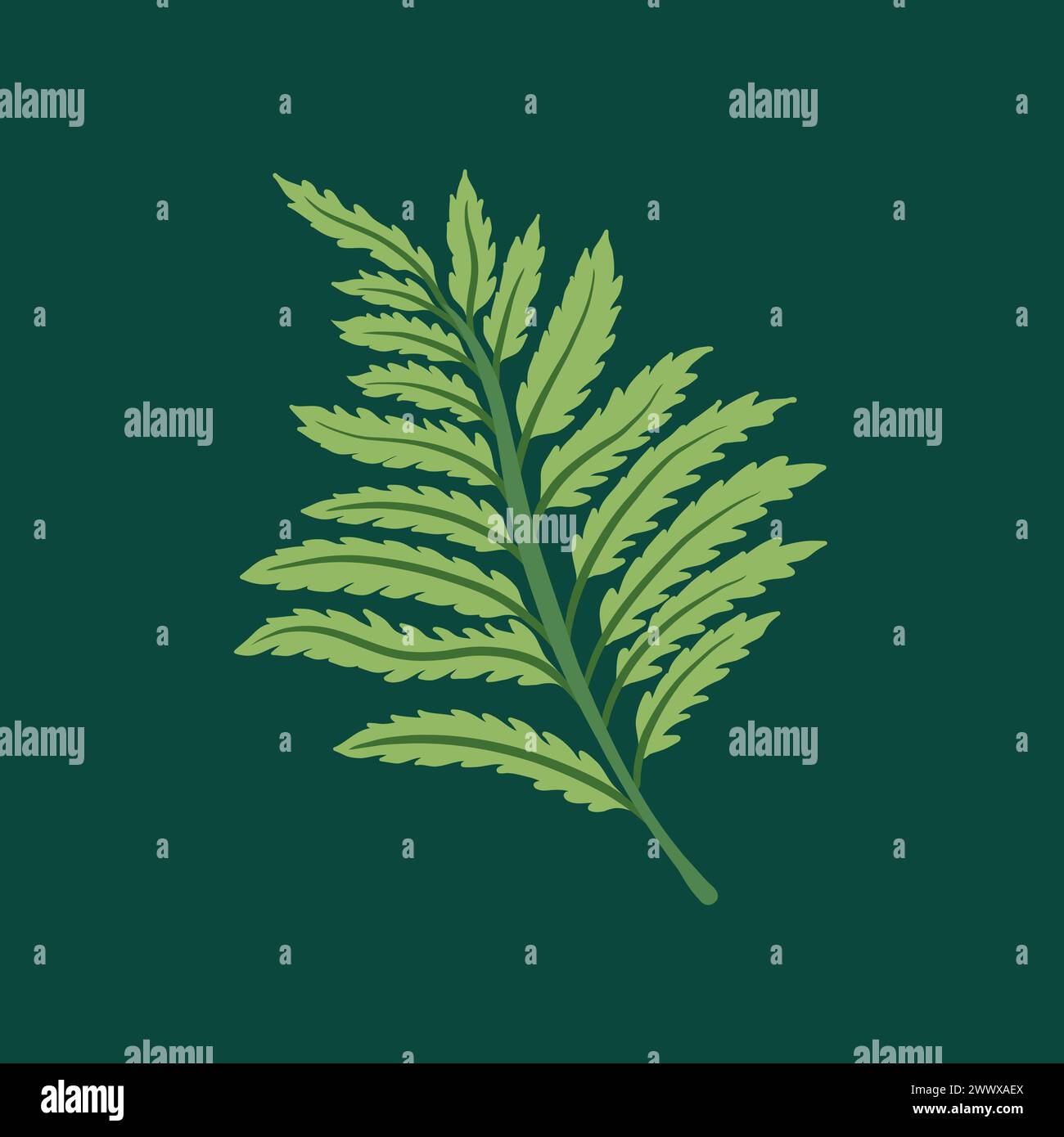 Collection of elegant beautiful tropical plants isolated on background. Cute leaves for decorative design elements. Stock Vector
