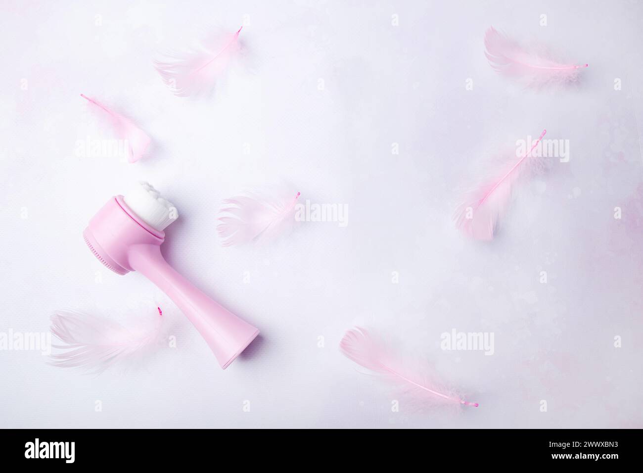 Soft pink face brush tool among feathers. Beauty blogs and reviews concept. Stock Photo