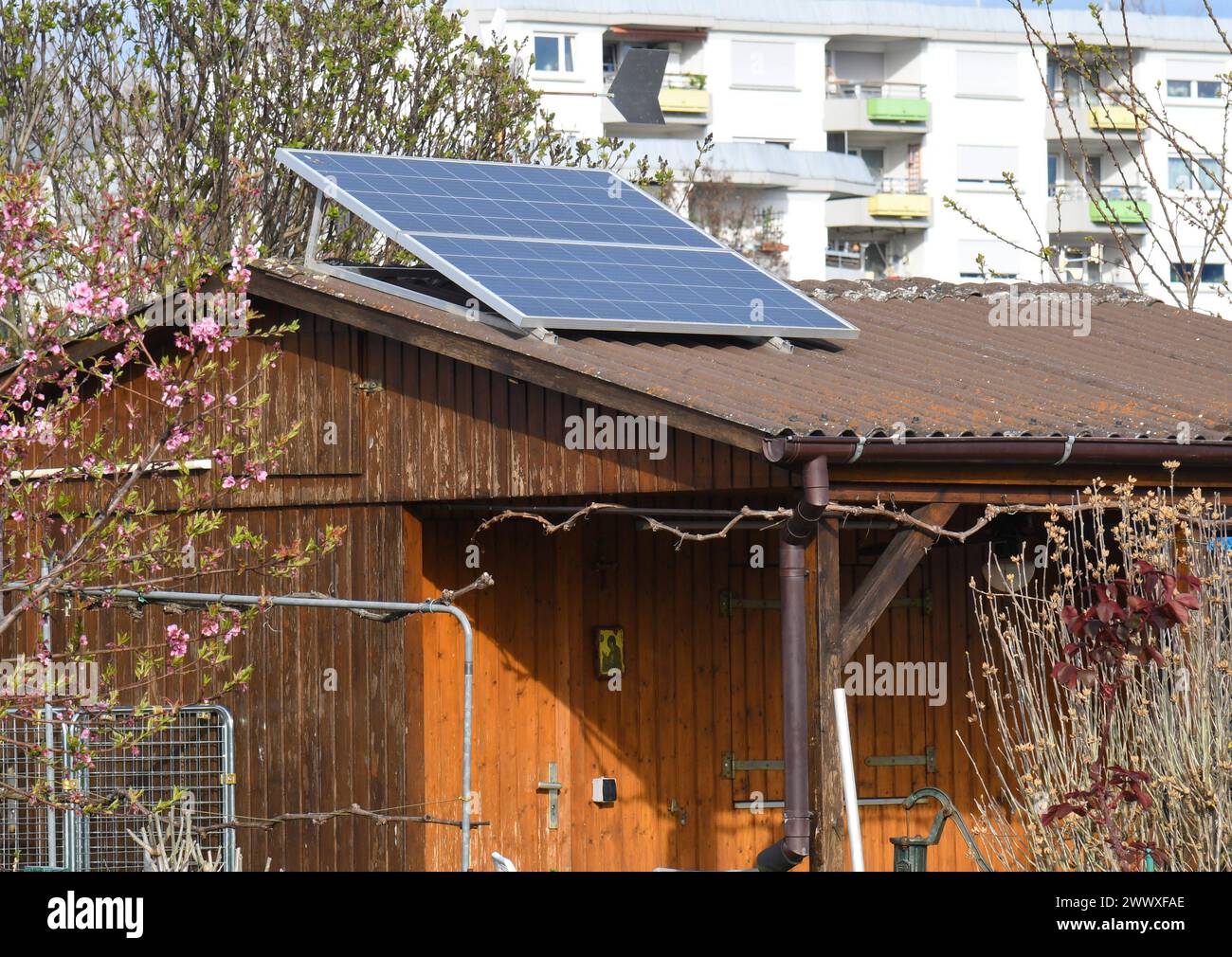 Solaranlage auf einem Gartenhaus in einem Schrebergarten in Freiburg
