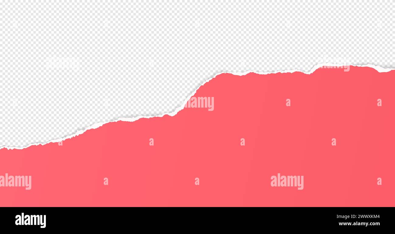 Red paper with torn edges and soft shadow is on white squared background for text. Stock Vector