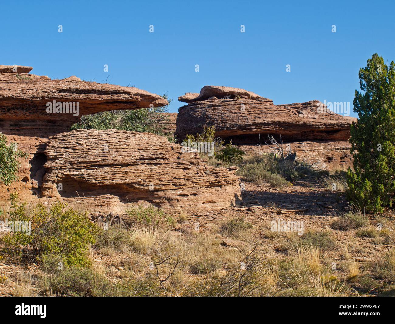 Rock formations in the Overlook Trail of Santa Rosa Lake State Park. Wind erosion. Stock Photo