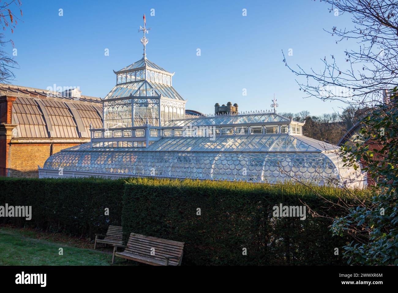 Conservatory, Horniman Museum and Gardens Stock Photo - Alamy