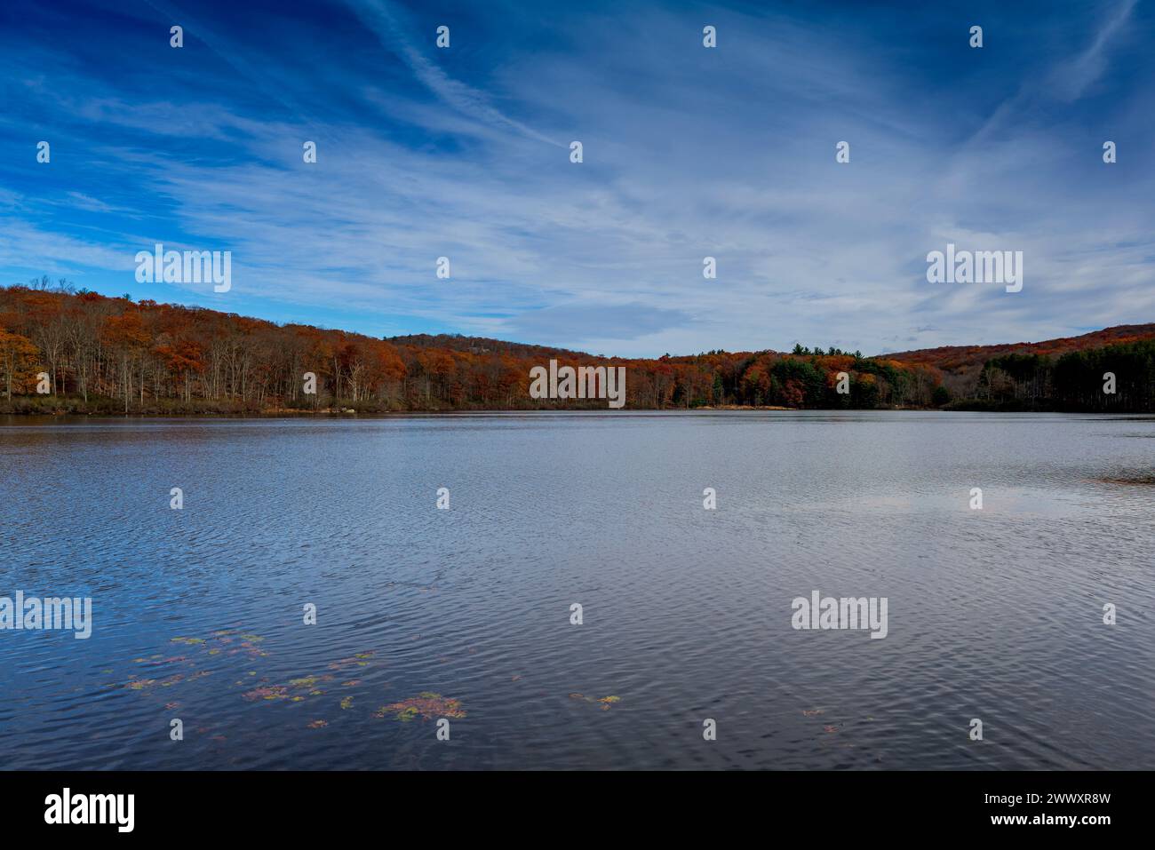 Autumn lake reflecting on a blue sky background and forest landscape ...