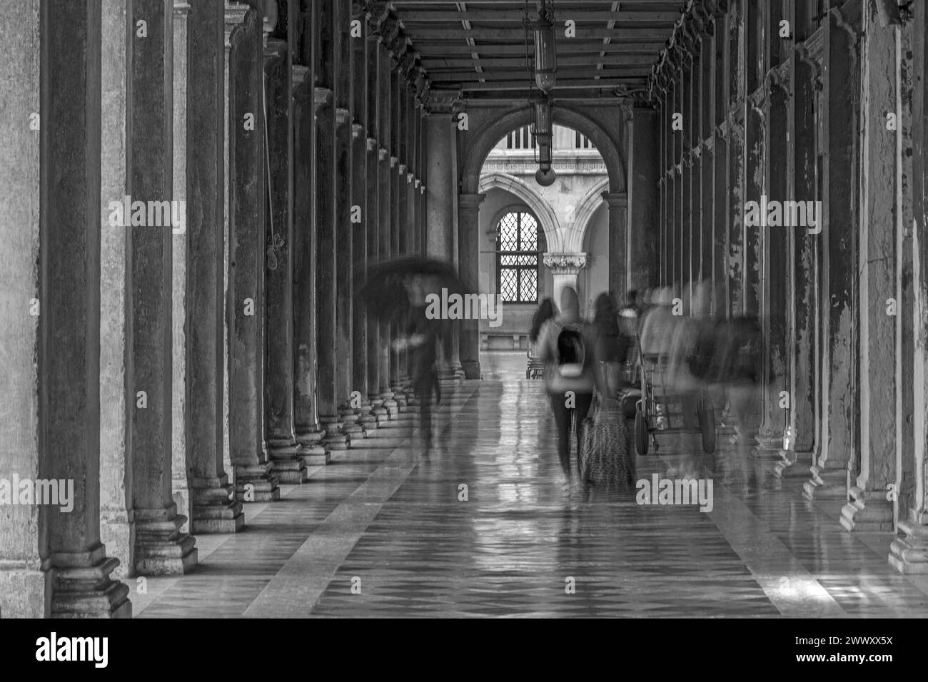 Arcade of the Procuratie in the morning, Venice, Veneto, Italy Stock Photo