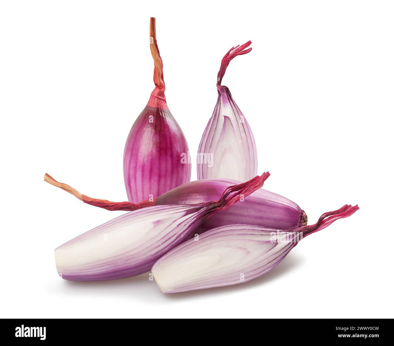Red onions group  isolated on white background Stock Photo