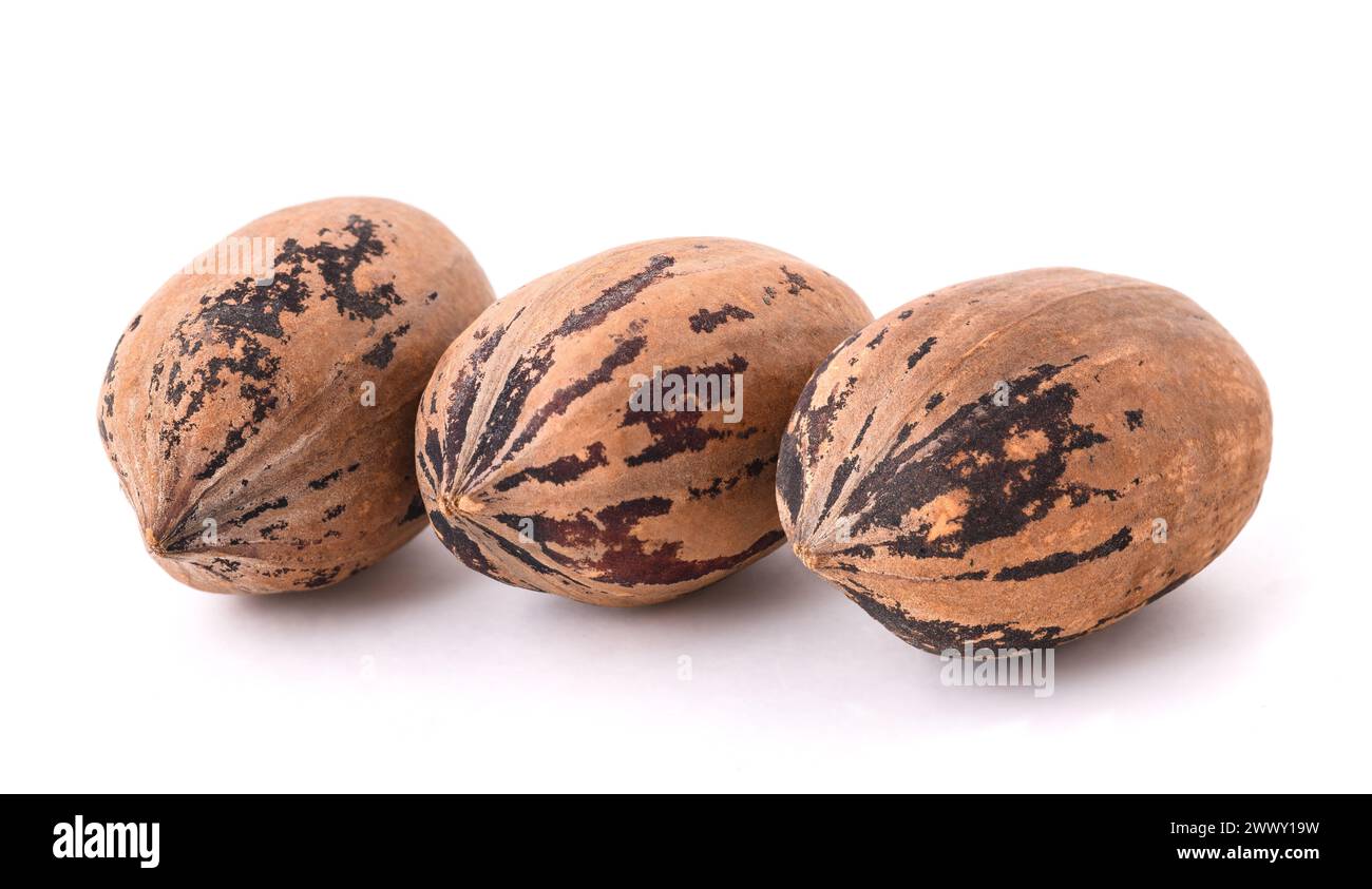 Nutmegs (Myristica fragrans) isolated on white background Stock Photo