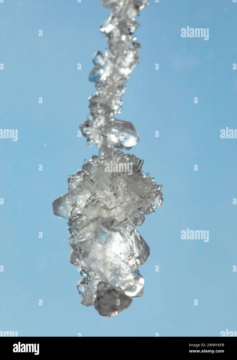 Grown crystals in bright light. Potassium pyrosulphite. A substance