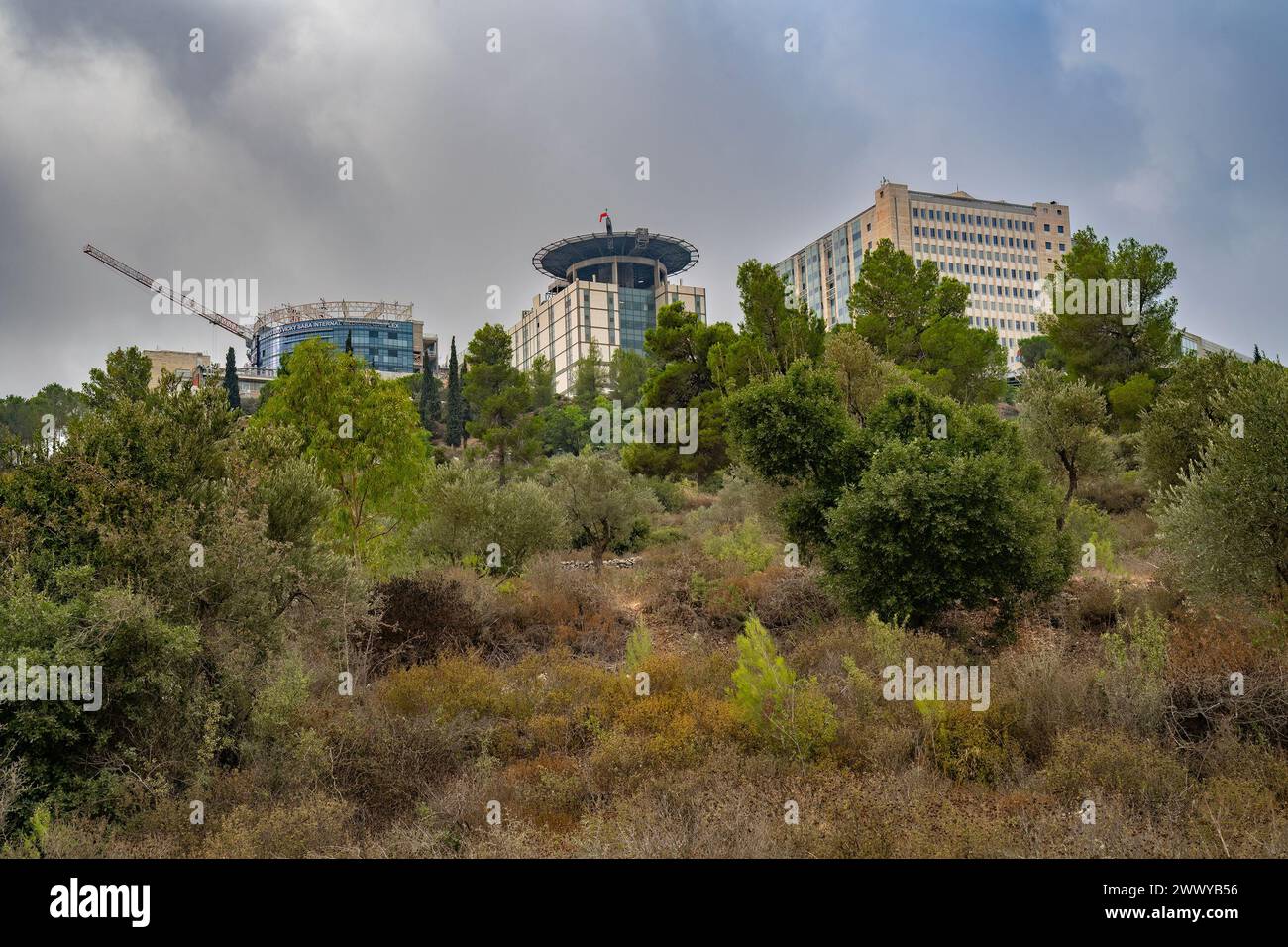 Hadassah hospital, on a hilltop just outside of Jerusalem, Israel, surrounded by a mediterranean forest with pine, oak and olive trees. Stock Photo