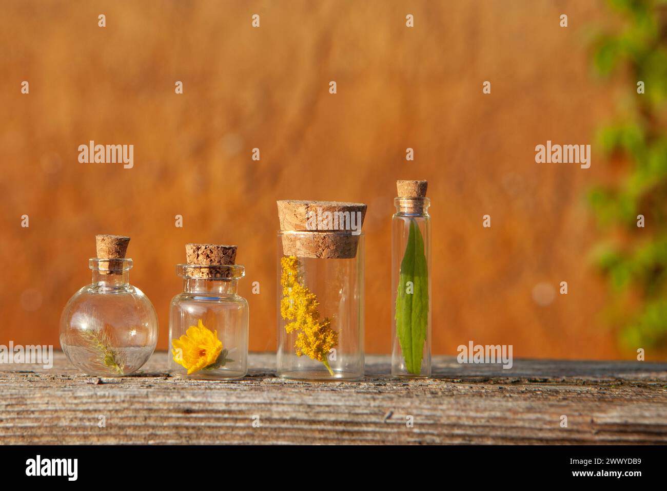 Bottles of essential oils hi-res stock photography and images - Alamy