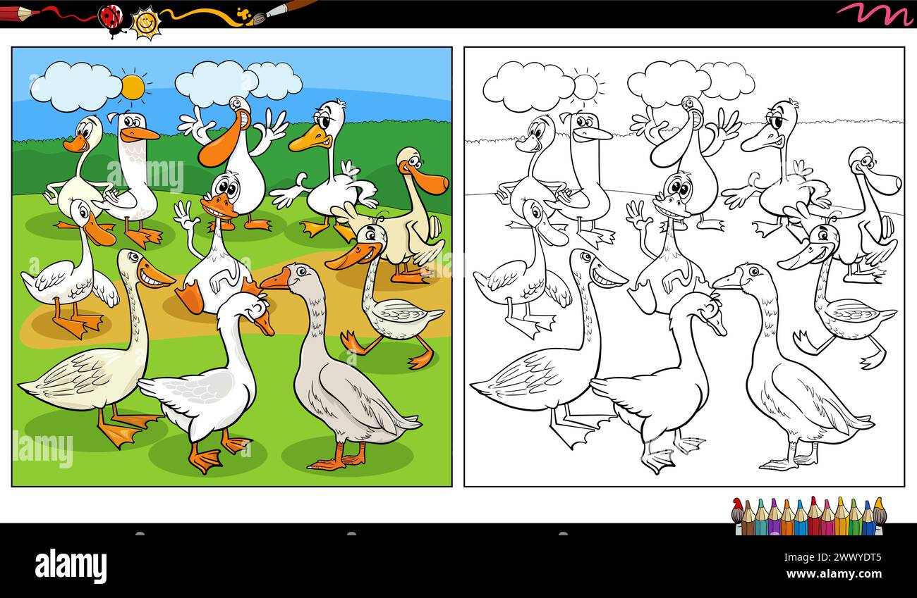 cartoon illustration of funny geese farm birds animal characters group coloring page Stock Vector