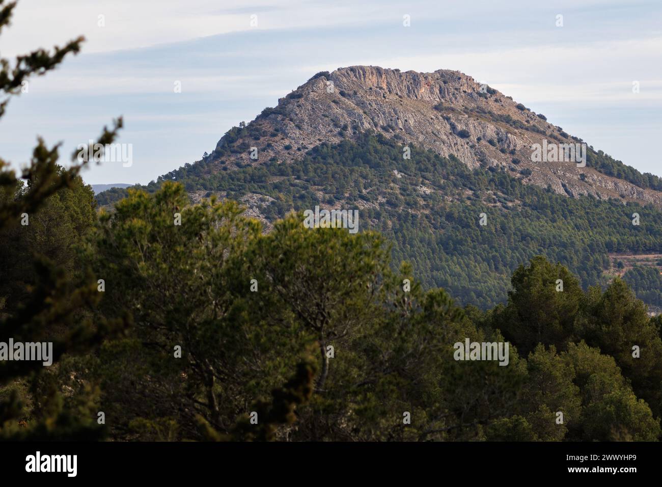 Top of La Serreta mountain from the natural area of San Antonio in Alcoy, Spain Stock Photo