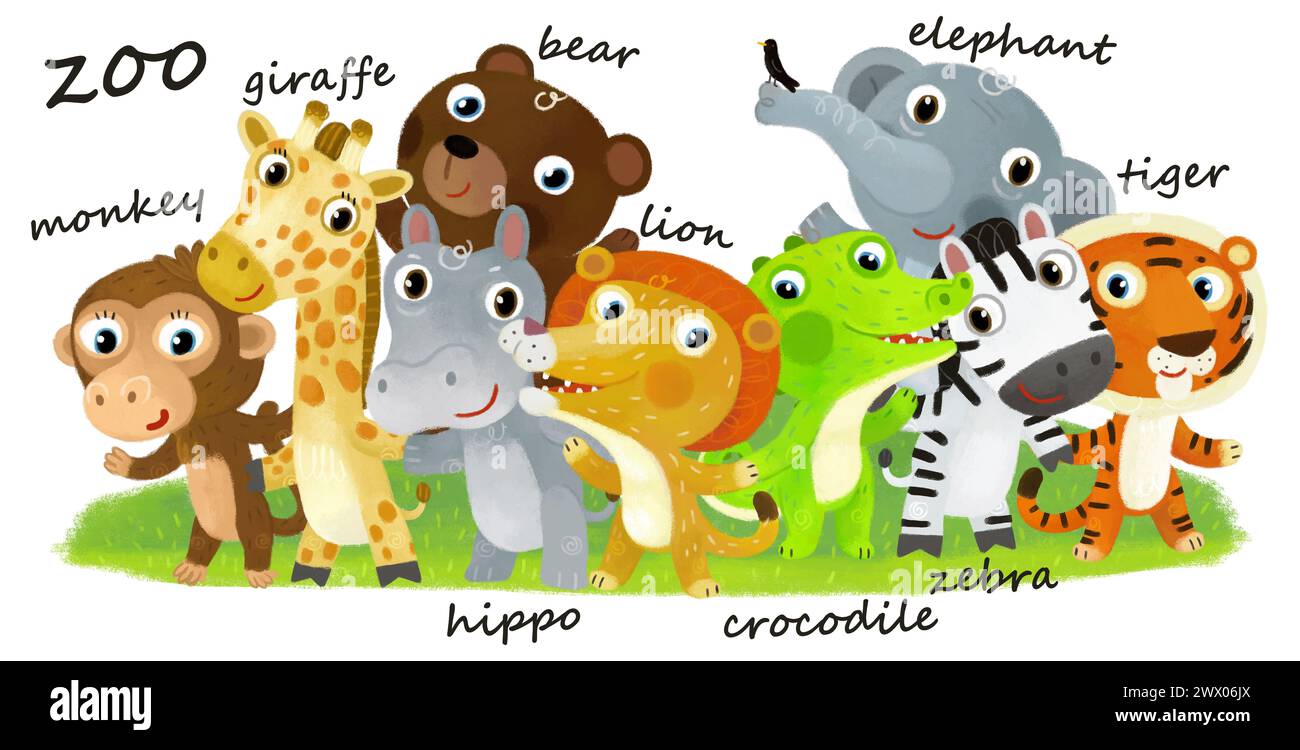 Cartoon zoo scene with zoo animals friends together in amusement park on white background with