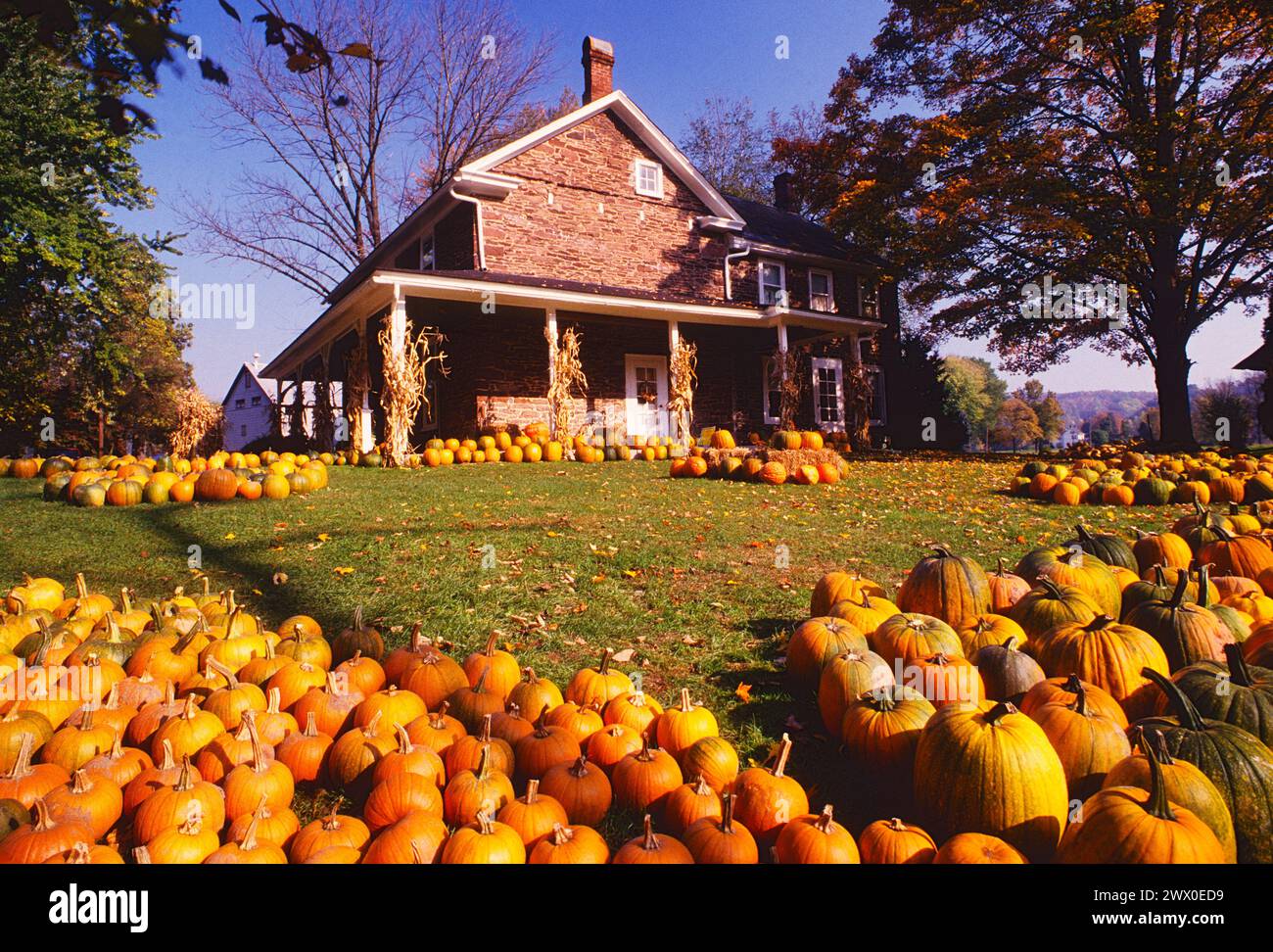 PUMPKINS FOR SALE, TRAUGER FARM (CIRCA 1784) ON DELAWARE & PENNSYLVANIA CANAL, BUCKS COUNTY, PENNSYLVANIA, USA Stock Photo