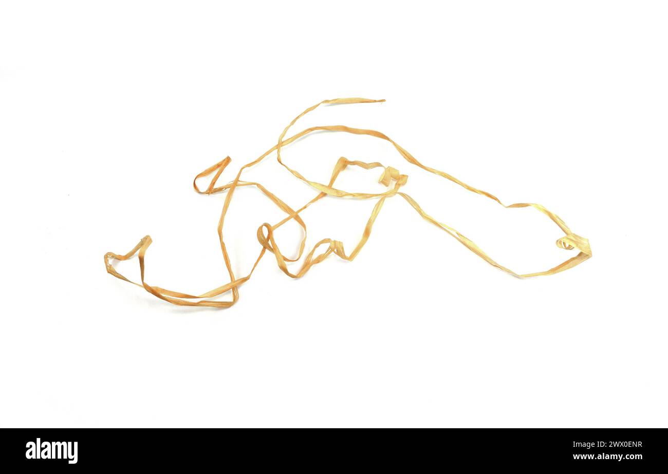 Raffia palm Cut Out Stock Images & Pictures - Alamy