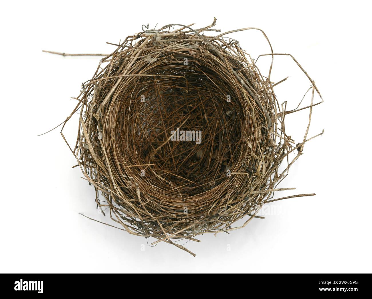 Studio shot of an empty bird nest isolated on white background Stock ...