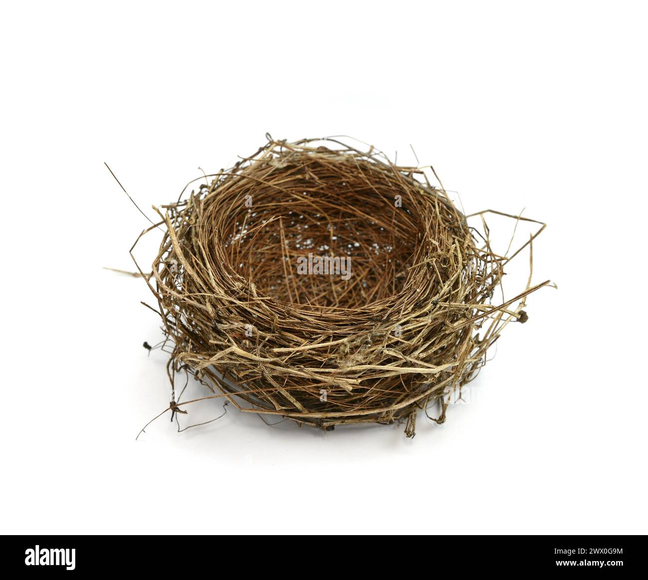Studio shot of an empty bird nest isolated on white background Stock ...