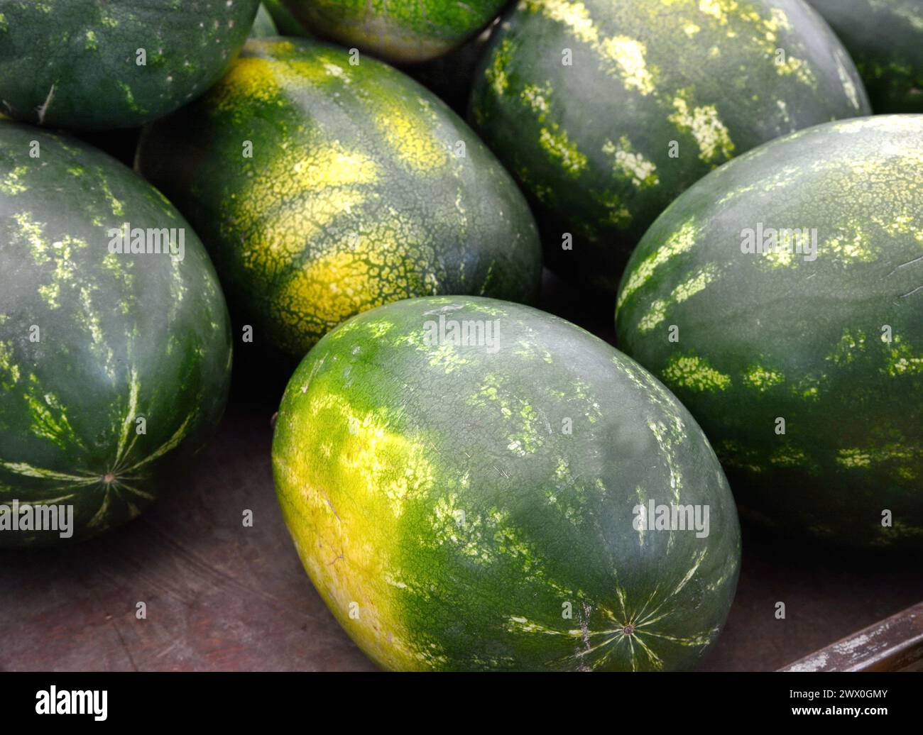 Green watermelons (Citrullus lanatus) for sale et market Stock Photo ...