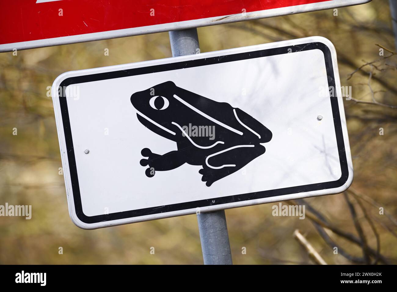 Warning Sign For Toad Migration In Scharbeutz, Schleswig-Holstein, Germany Stock Photo