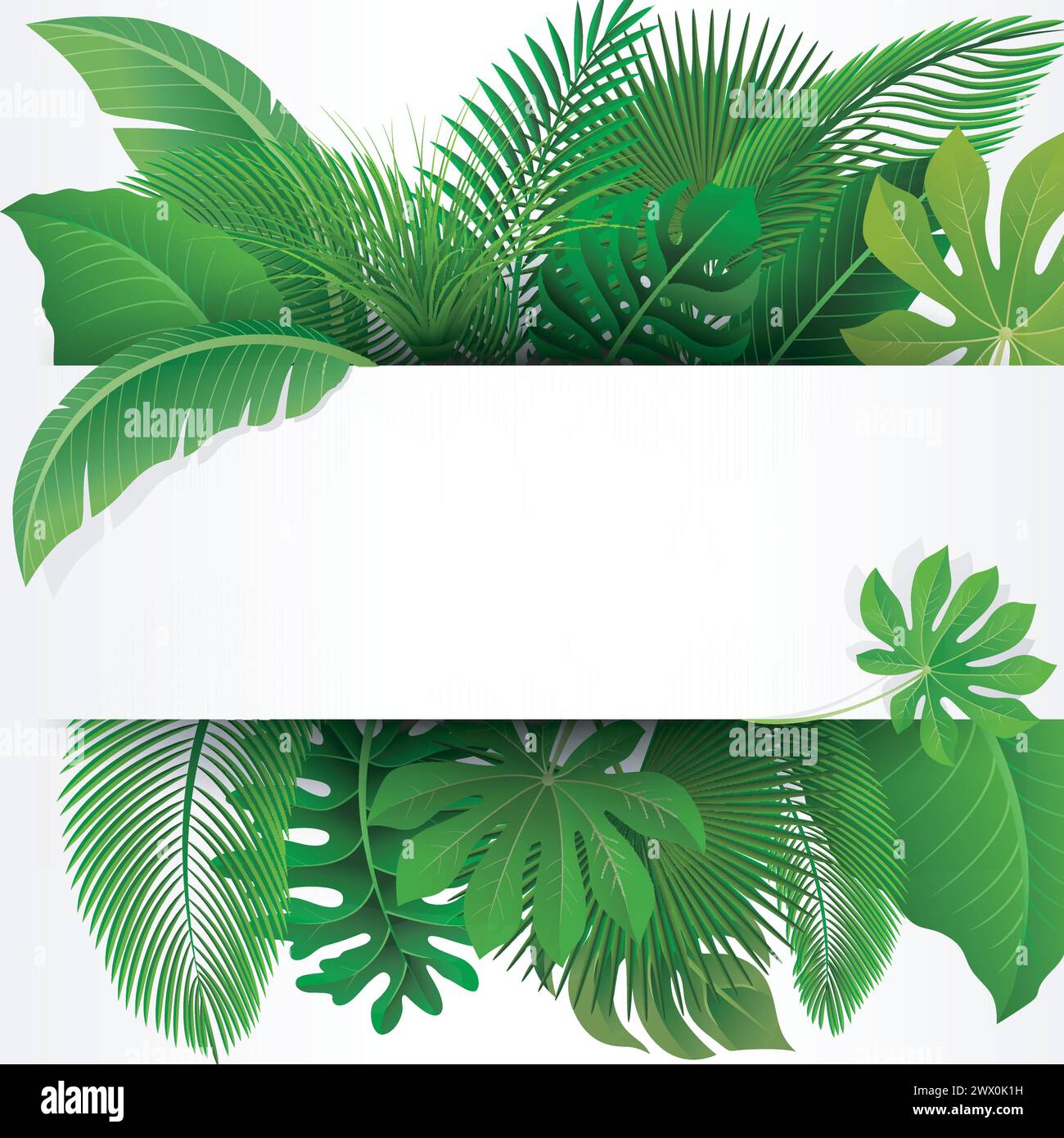 Sign with Text Space of Tropical Leaves. Suitable For Nature Concept, Vacation, and Summer Holiday, Vector Illustration Stock Vector