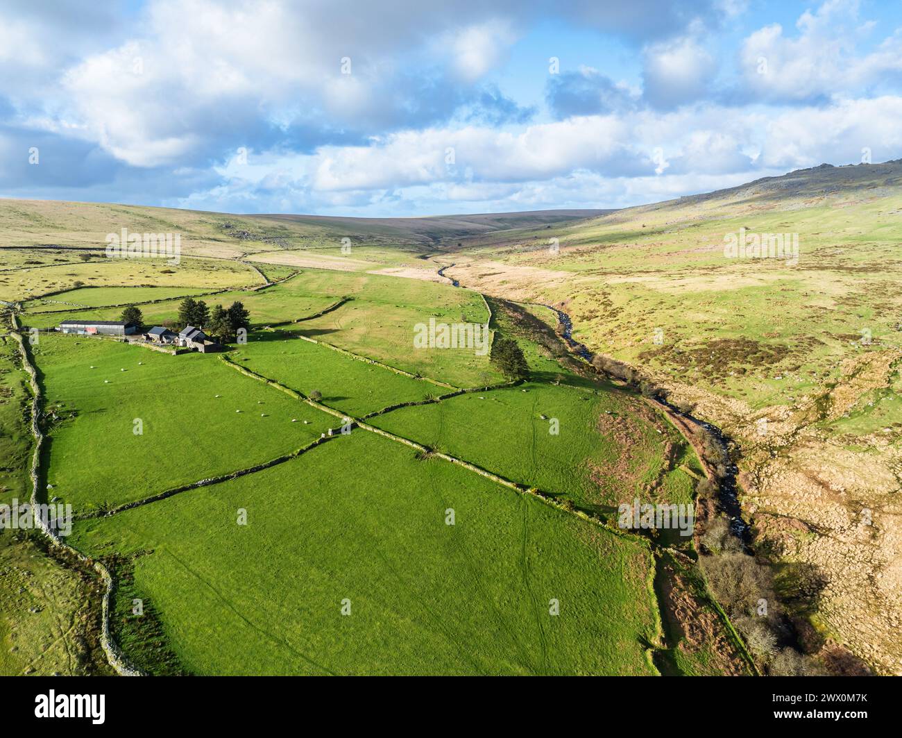 Farms over West Dart River in Dartmoor National Park, Devon, England