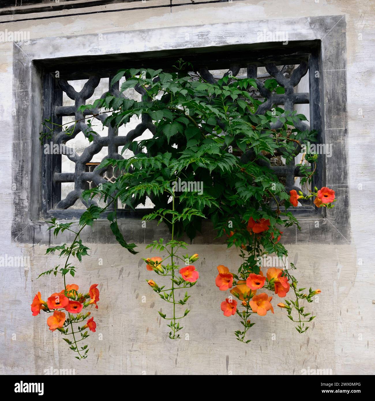 A decorative stone window in Xidi Ancient Town reflects its preservation of medieval Chinese architecture. Stock Photo