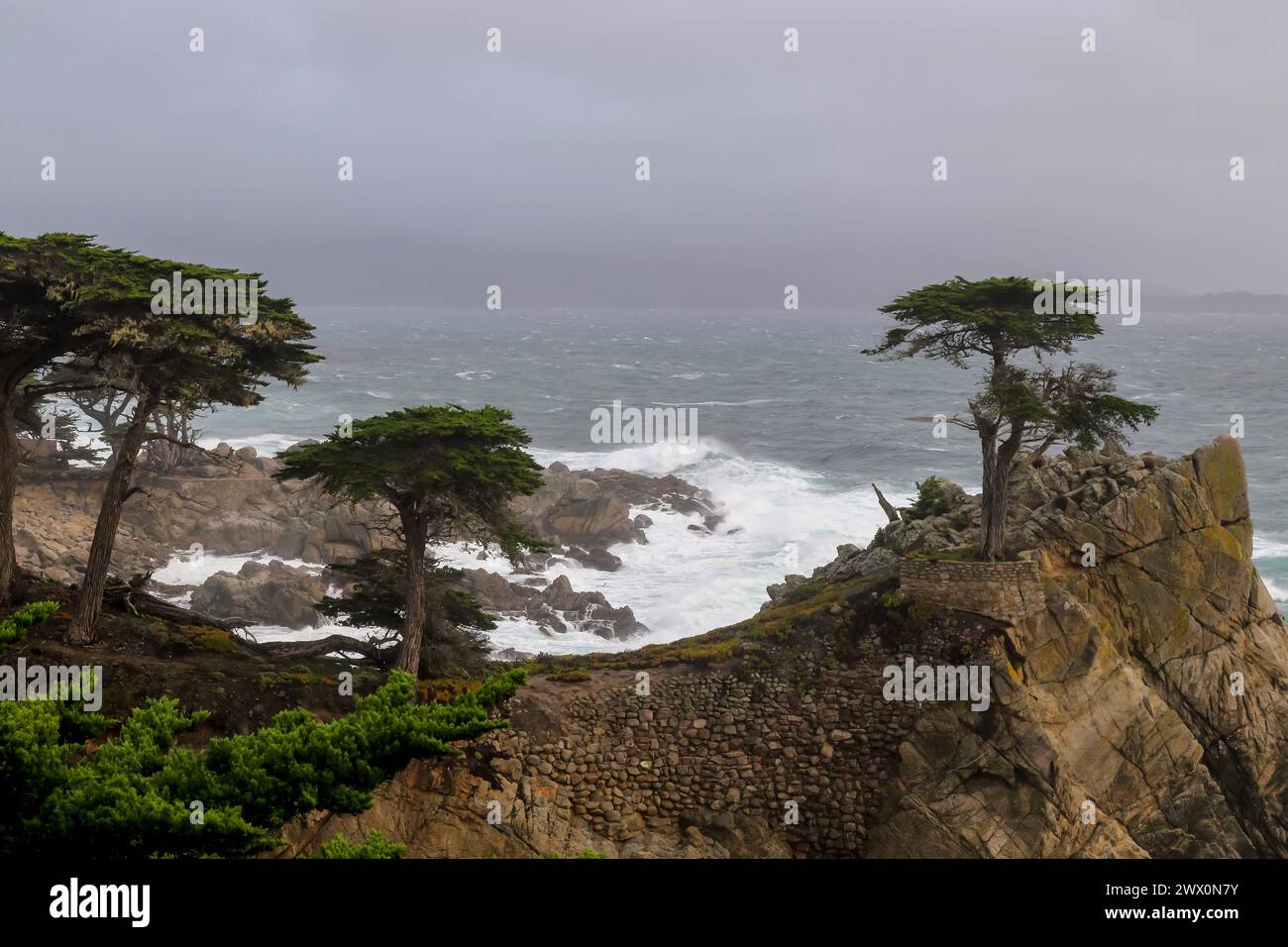 The Lone Cypress at 17-mile drive Pebble beach, California on a rainy day. Stock Photo
