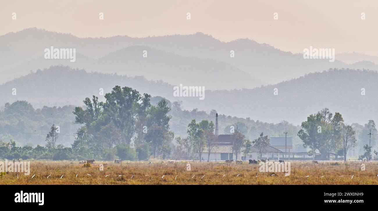 Agricultural land below distant mountain ranges at Cho Lae, Mae Tang district, Chiang Mai, Thailand Stock Photo