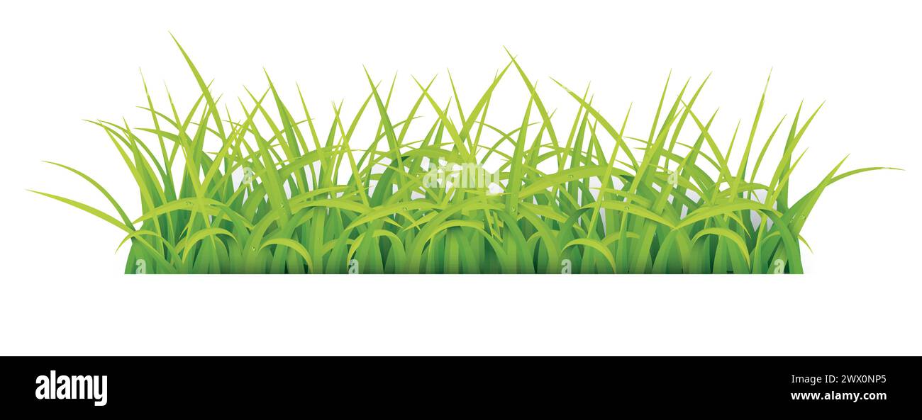 Sign with Text Space of Young Grass. Suitable For Nature Concept, Spring, and Summer Holiday, Vector Illustration Stock Vector