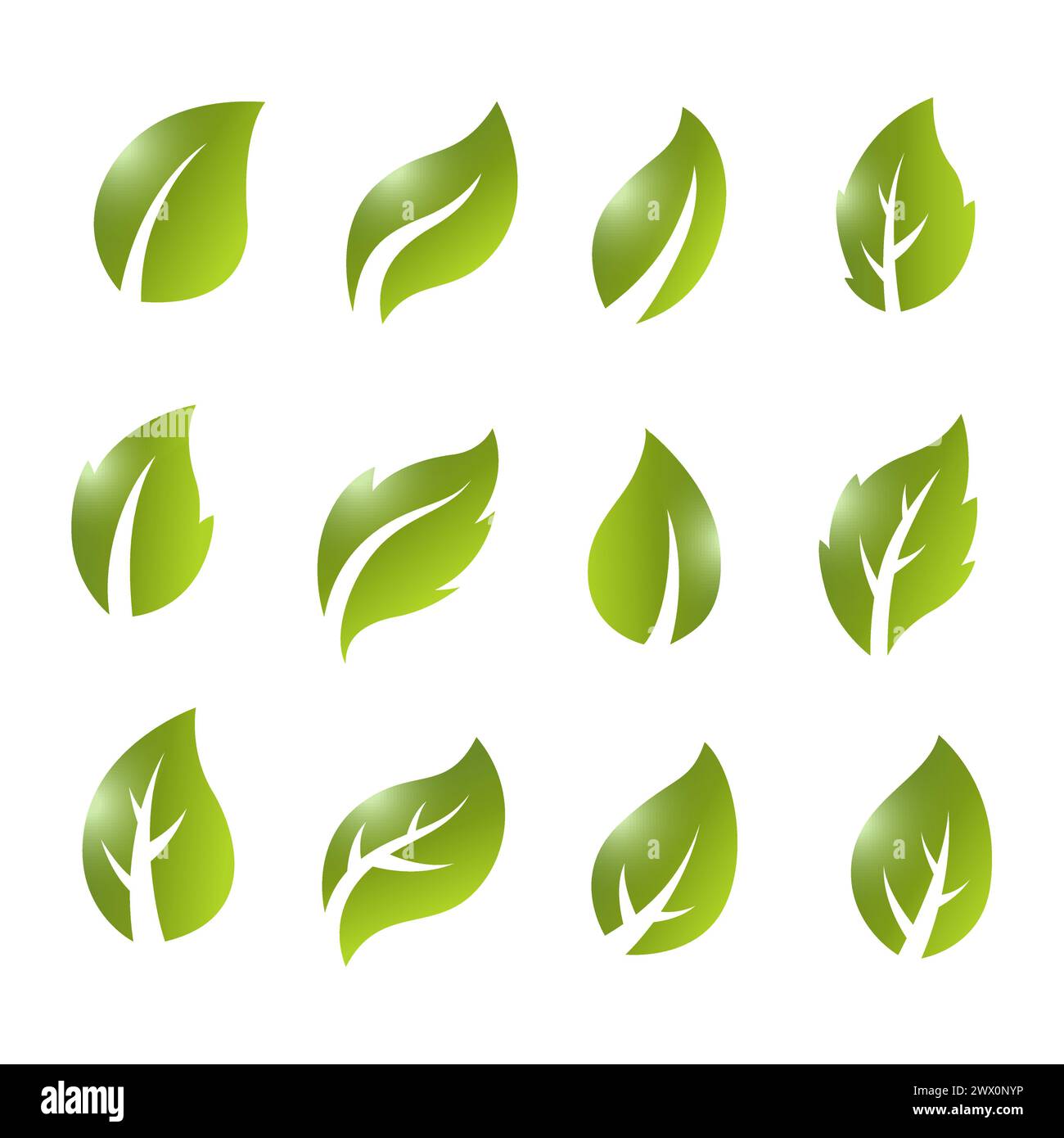 Artistic Collection of Green Leaves Set, Vector Illustration Stock ...