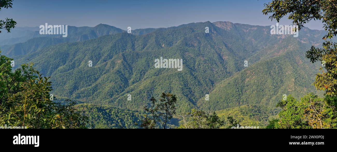 Panoramic view of green forested mountain slopes of Doi Lang ridge, Doi Pha Hom Pok national park, Chiang Mai in early morning light, Thailand Stock Photo
