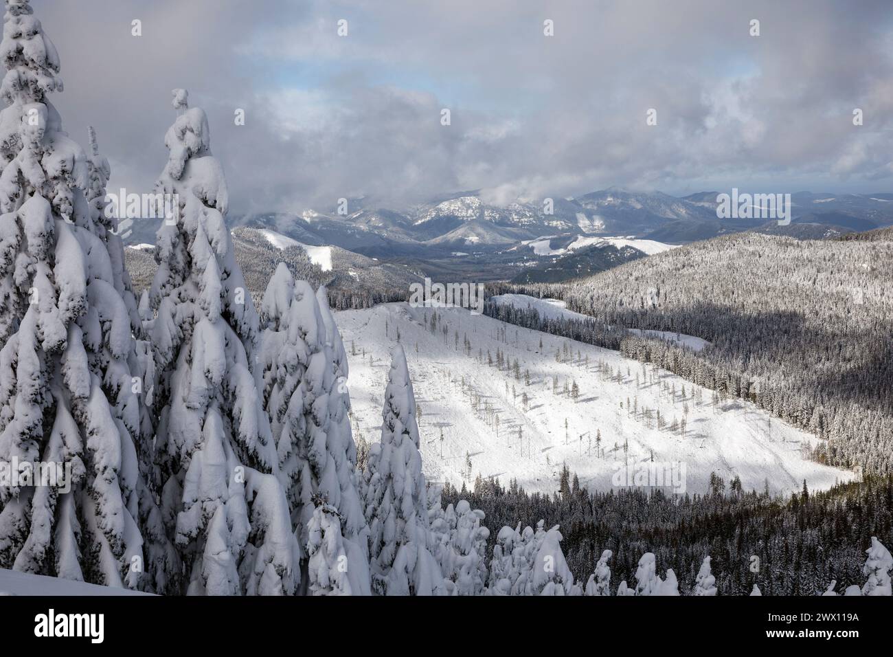 WA24714-00.....WASHINGTON -- Winter in the Tahoma State Forest. Viewed from High Hut of the Mount Tahoma Hut Trails system. Stock Photo