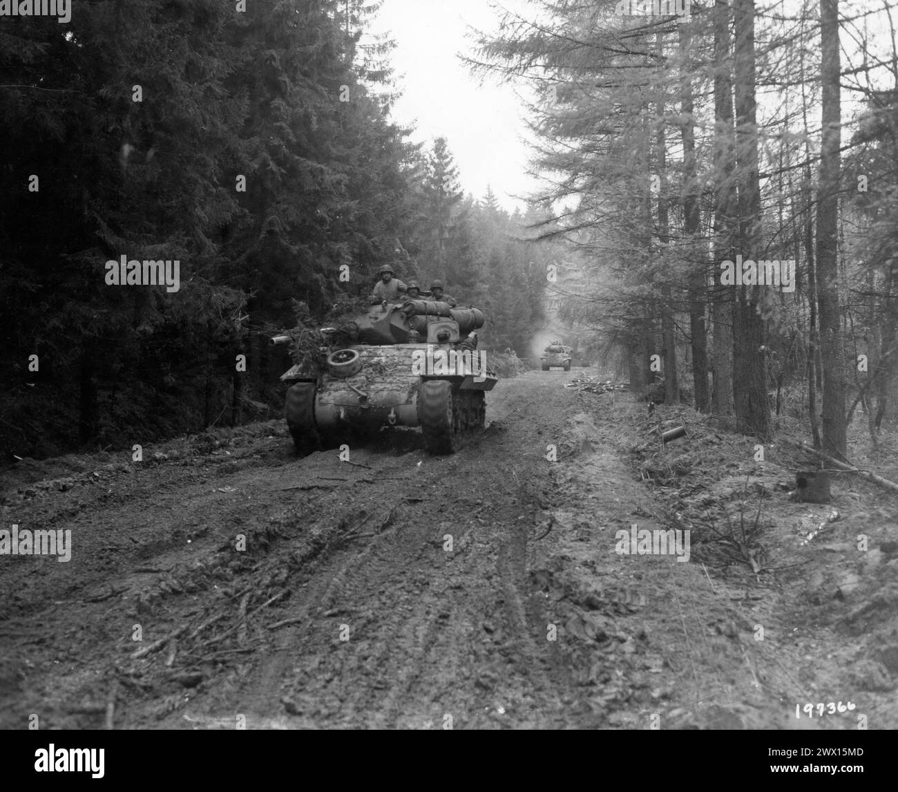 Original Caption: M-10 tank destroyers move up through Hurtgen Forest, on their way to Schmidt, Germany, to encounter a German tank unit occupying that town. 11/4/44. -893rd TD Battalion. Stock Photo