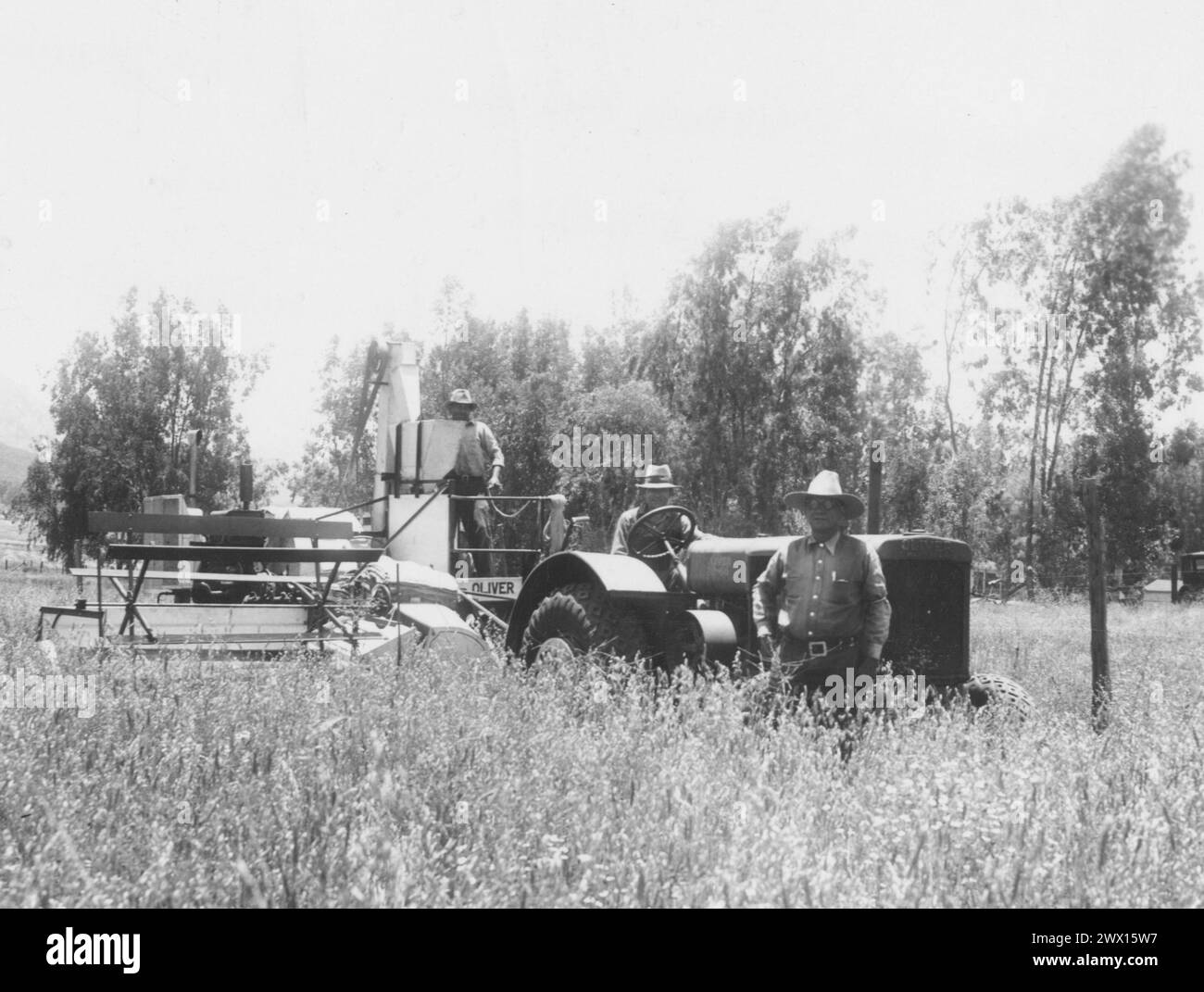 Original caption: 'Harvester and tractor belonging to the Barona Group of Indians, Lakeside, California. The grain in the foreground is mostly oats, with some scattering wheat. June 1937.' Stock Photo