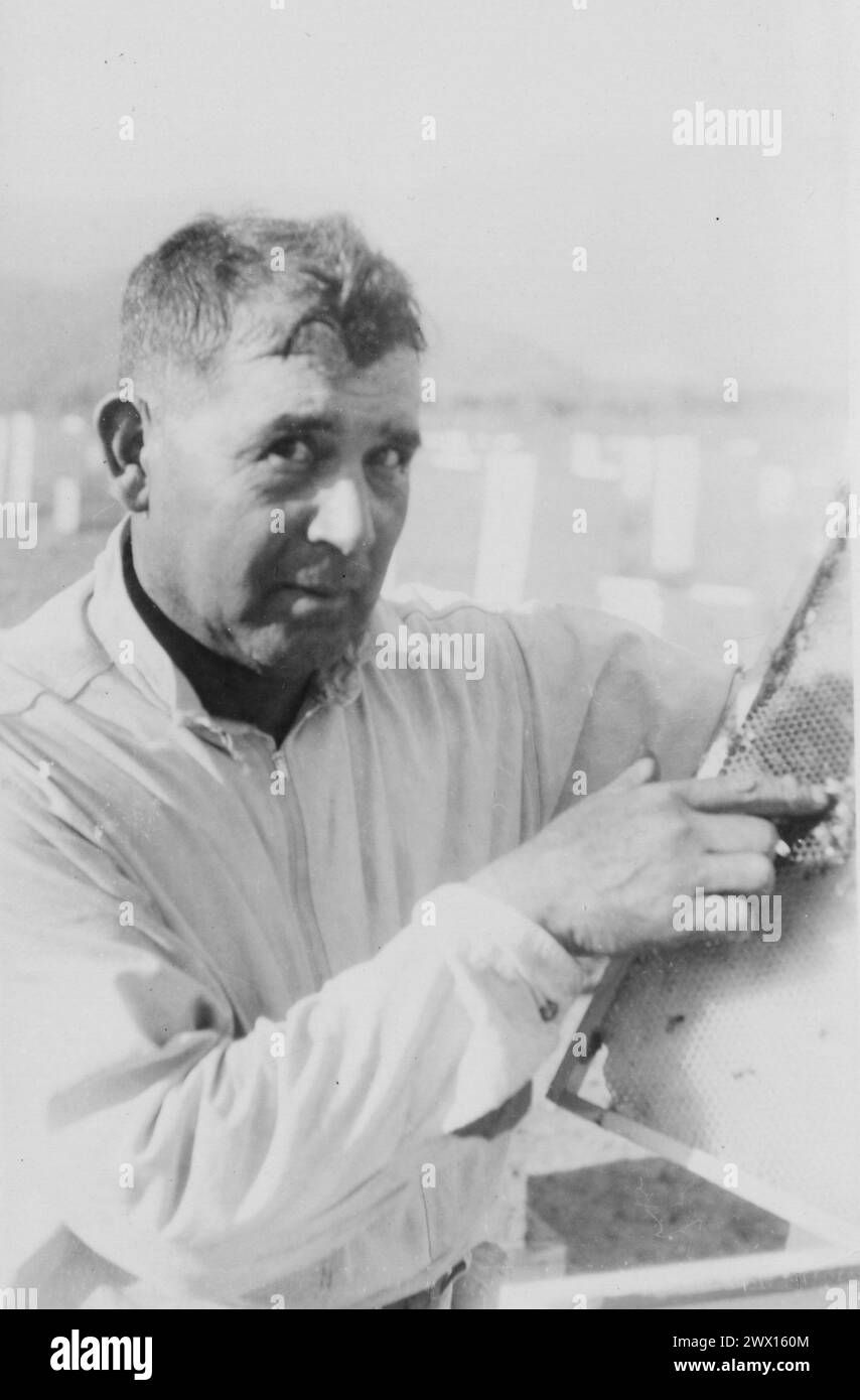 Photograph of a Man Displaying a Wooden Frame for Beekeeping ca. 1936-1942 Stock Photo