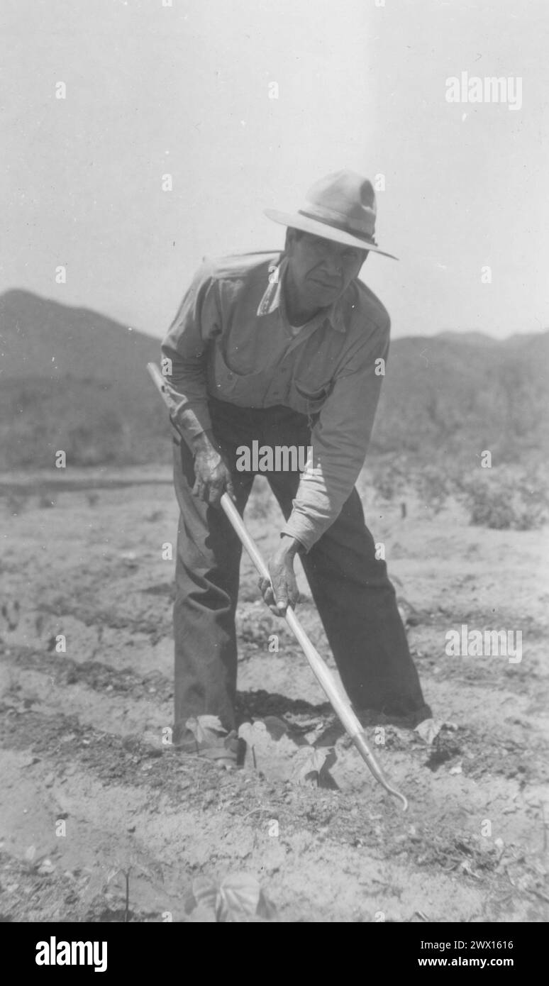 Man using a hoe on his farm in rural California ca. 1936-1942 Stock Photo