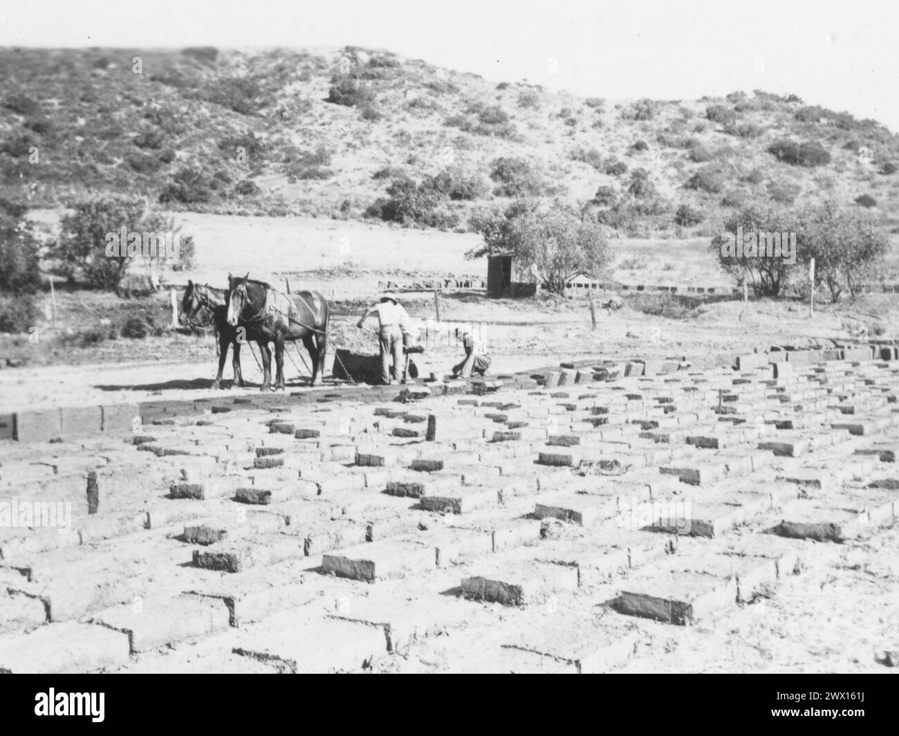 Three mold Black and White Stock Photos & Images Alamy