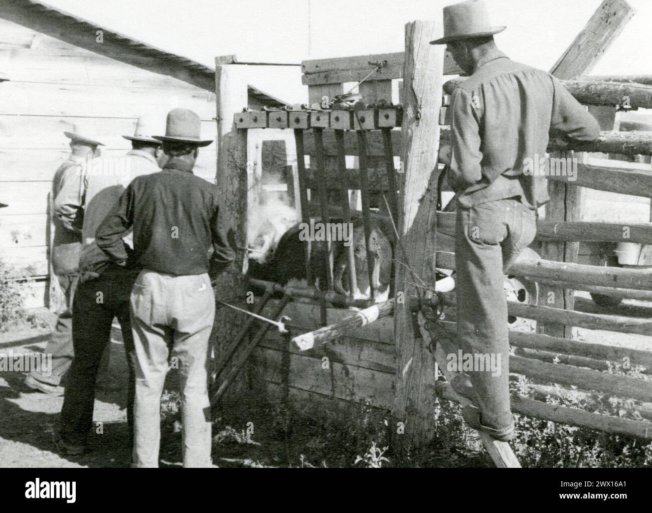 1930s cowboys hi-res stock photography and images - Alamy