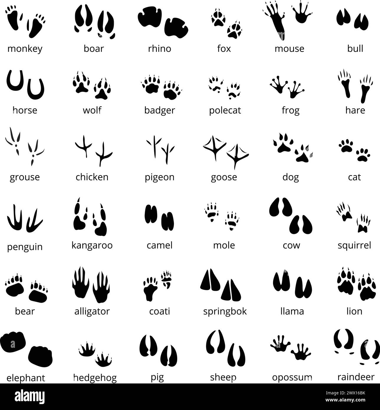 Big monochrome set of different animals and birds silhouette tracks with description isolated on ...