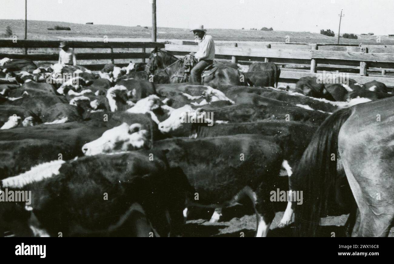 1940s cowboy hi-res stock photography and images - Alamy