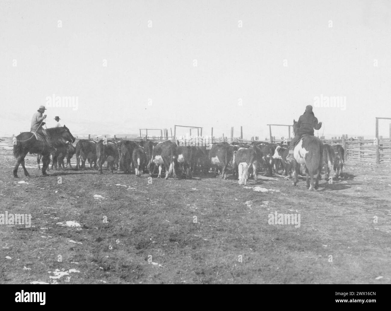 Cattle ranch historical hi-res stock photography and images - Alamy