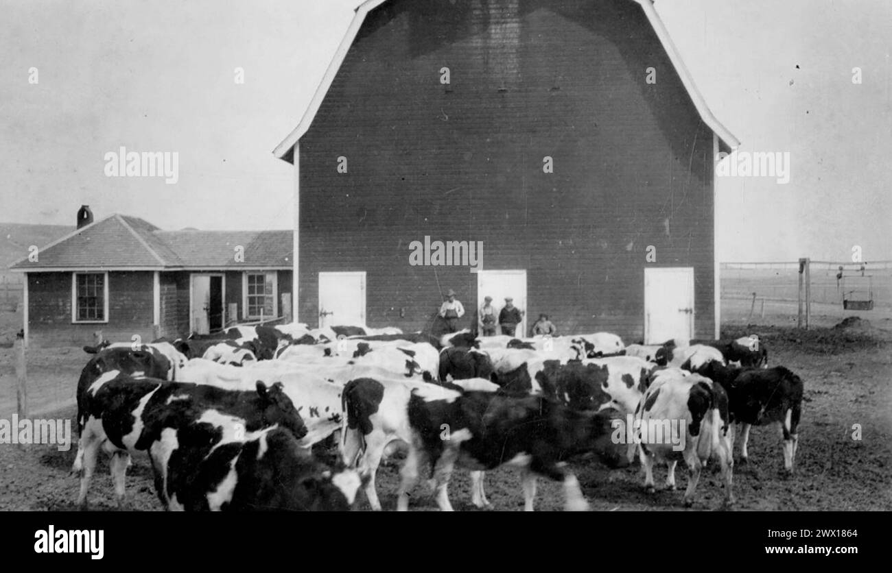 depression-era-dairy-farm-hi-res-stock-photography-and-images-alamy