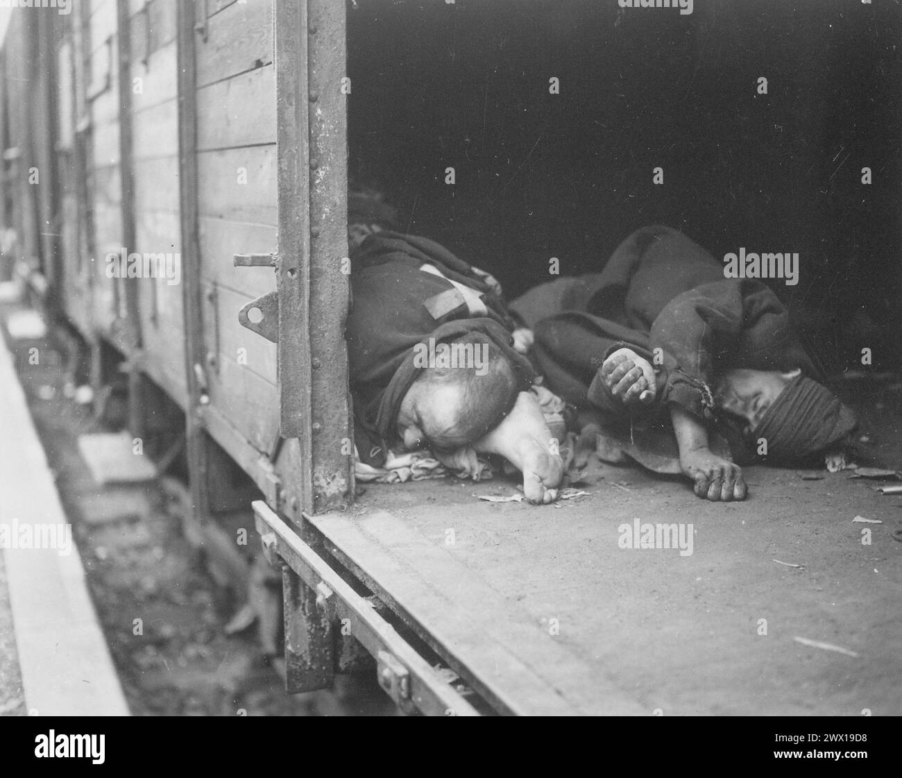 Bodies of 3 political prisoners, shot as they tried to flee massacre at Seeshaupt. All prisoners on train were killed by machine guns at the hands of SS troops ca. May 1, 1945 Stock Photo