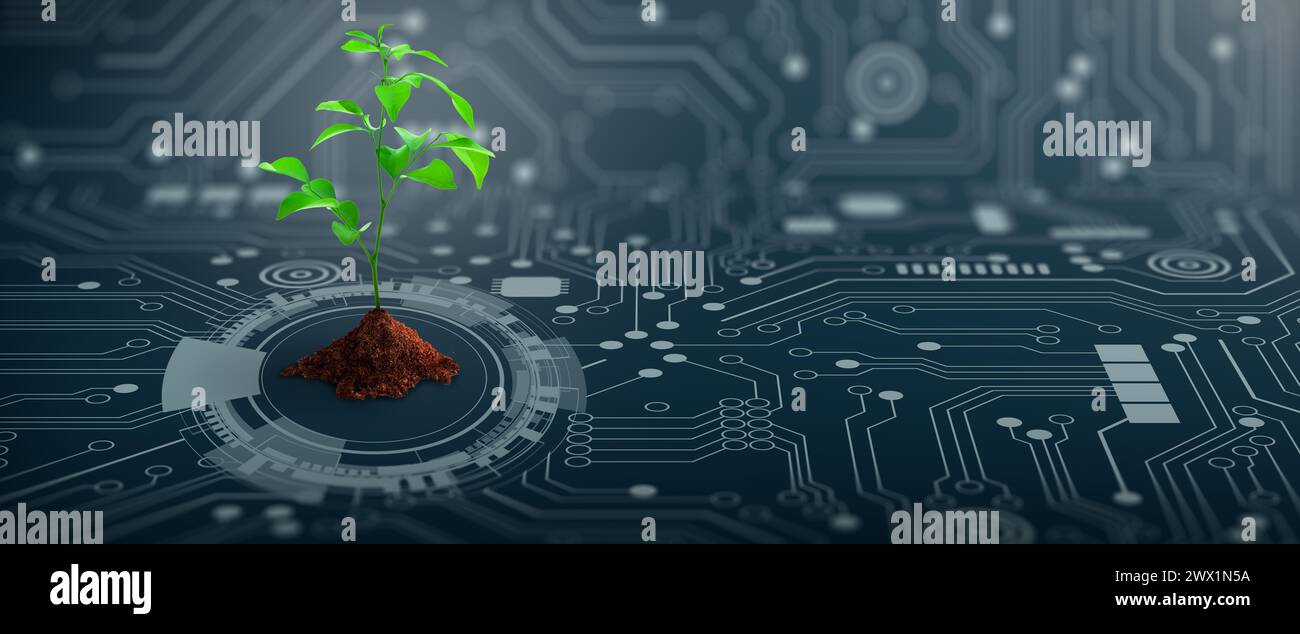 Growing tree with soil on the converging point of computer circuit board. Nature with Digital Convergence and Technological Convergence. Stock Photo