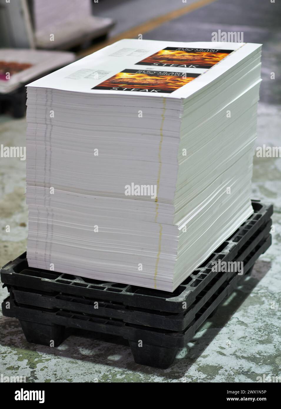 Printing, factory and paper stack for distribution or manufacturing